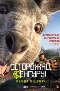   Осторожно, Кенгуру! (2020)